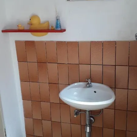 Boerderij De Boerenzwaluw *