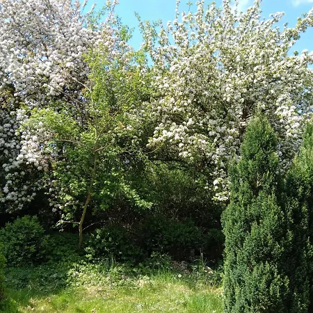 Boerderij De Boerenzwaluw Holiday home