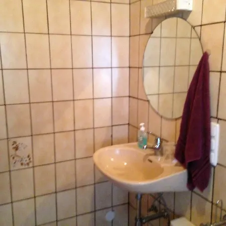 Boerderij De Boerenzwaluw *