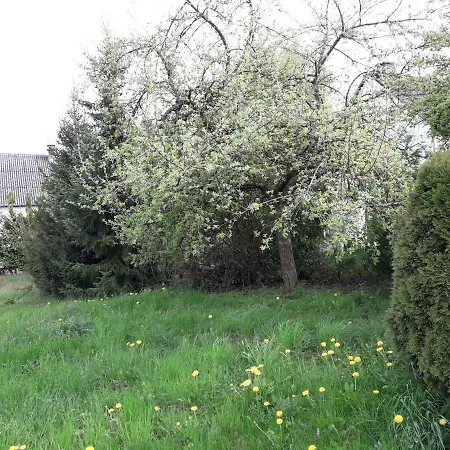 Holiday home Boerderij De Boerenzwaluw *