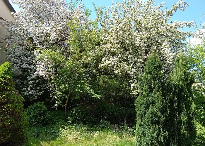 Boerderij De Boerenzwaluw בית נופש