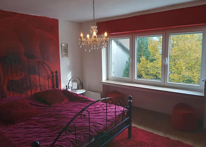 בית נופש Boerderij De Boerenzwaluw