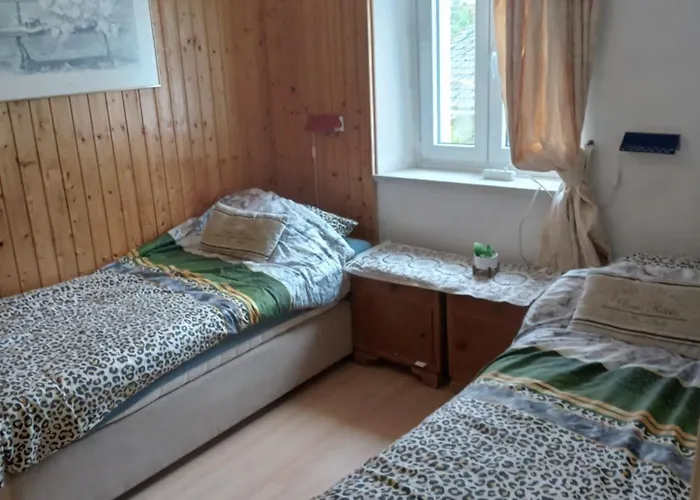 Boerderij De Boerenzwaluw *