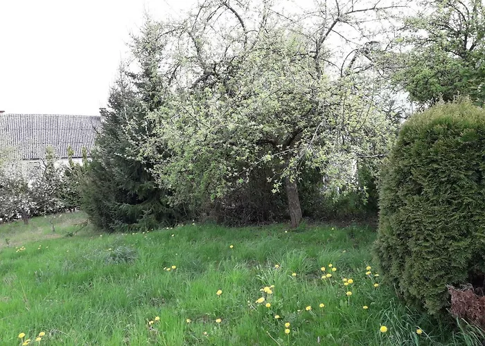 בית נופש Boerderij De Boerenzwaluw *